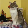 Отзыв от Валентина Елизарова